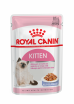 ������� ���� ��� ����� Royal Canin ������ ���������� � ���� - ���� ���� �����, ������������