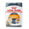 ������� ���� ��� ����� Royal Canin ������ ����� � ����� - ���� ���� �����, ������������
