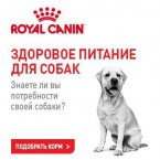 Собаки - Корм Роял Канин, Екатеринбург