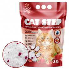   Cat Step "" -   , 
